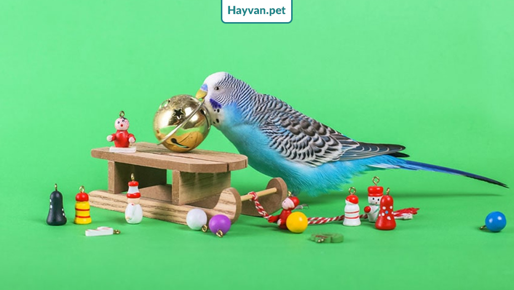 Muhabbet kuşu oyuncaklarının fotoğrafı