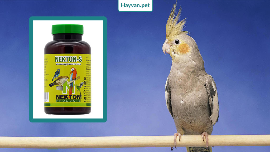 Kuşlar İçin En İyi Premium Nekton S Multi Vitamin