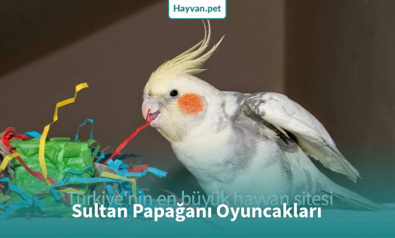 sultan papağanı oyuncak
