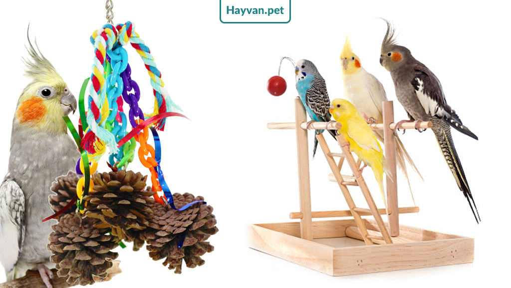 Sultan Papağanı Organik Örgü Oyuncak Fiyatları