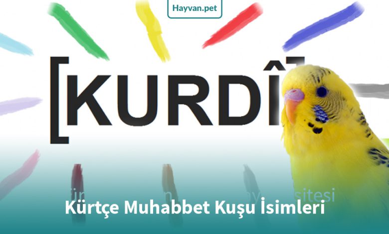 Kürtçe Muhabbet Kuşu İsimleri ve Anlamları